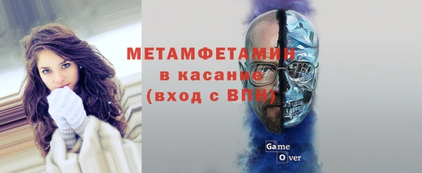 ПСИЛОЦИБИНОВЫЕ ГРИБЫ Инта