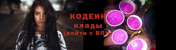 ПСИЛОЦИБИНОВЫЕ ГРИБЫ Инта