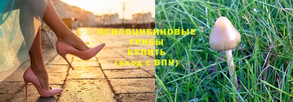 молекула духа Иннополис