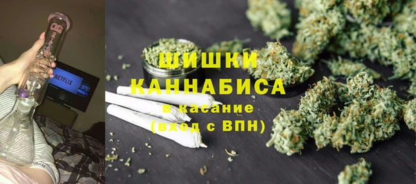 ПСИЛОЦИБИНОВЫЕ ГРИБЫ Инта