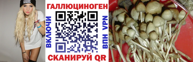 Галлюциногенные грибы Psilocybe  как найти закладки  Княгинино 