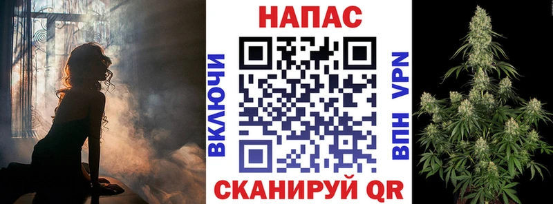 Бошки Шишки план Княгинино